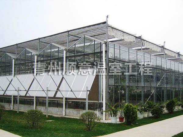 陽光板溫室
