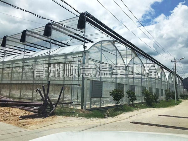 連棟薄膜溫室
