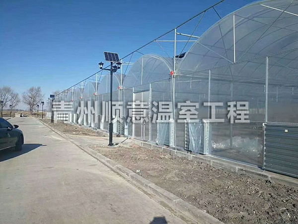 連棟薄膜溫室