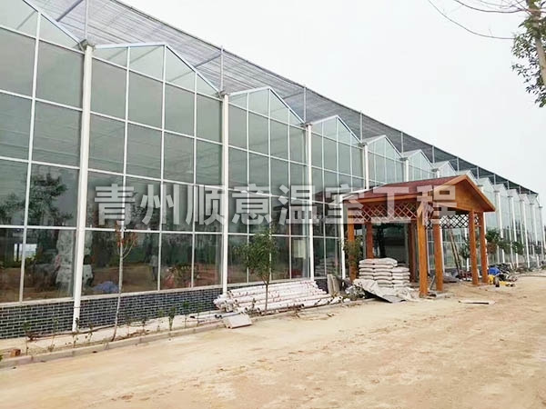 玻璃溫室大棚