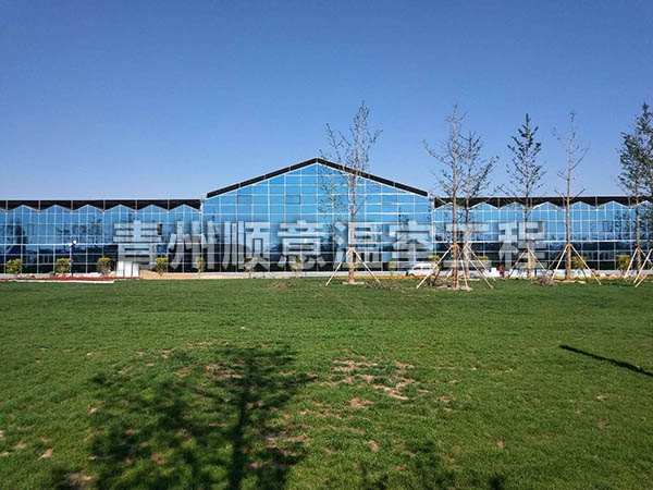 玻璃溫室大棚