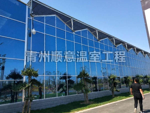 玻璃溫室大棚