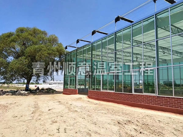 玻璃溫室大棚