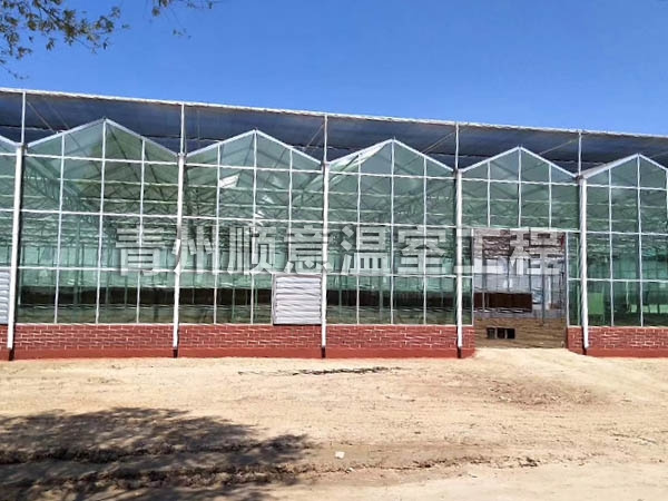 玻璃溫室大棚