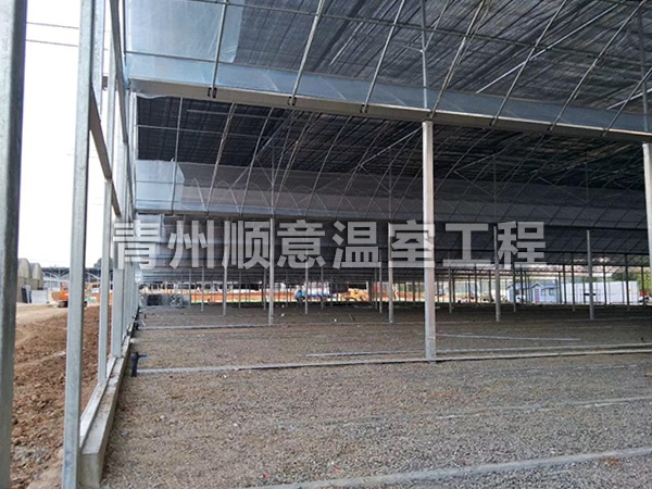 陜西晉中薄膜連棟溫室