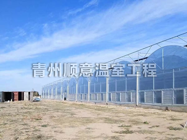 連棟薄膜溫室工程簡(jiǎn)介