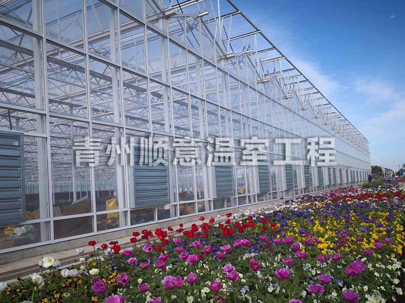 玻璃溫室大棚