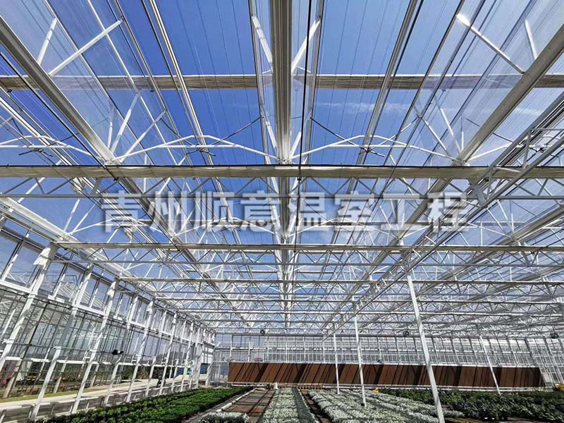 玻璃溫室大棚