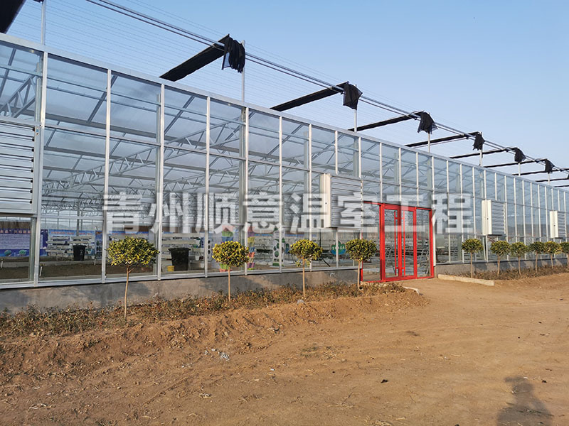 玻璃溫室大棚