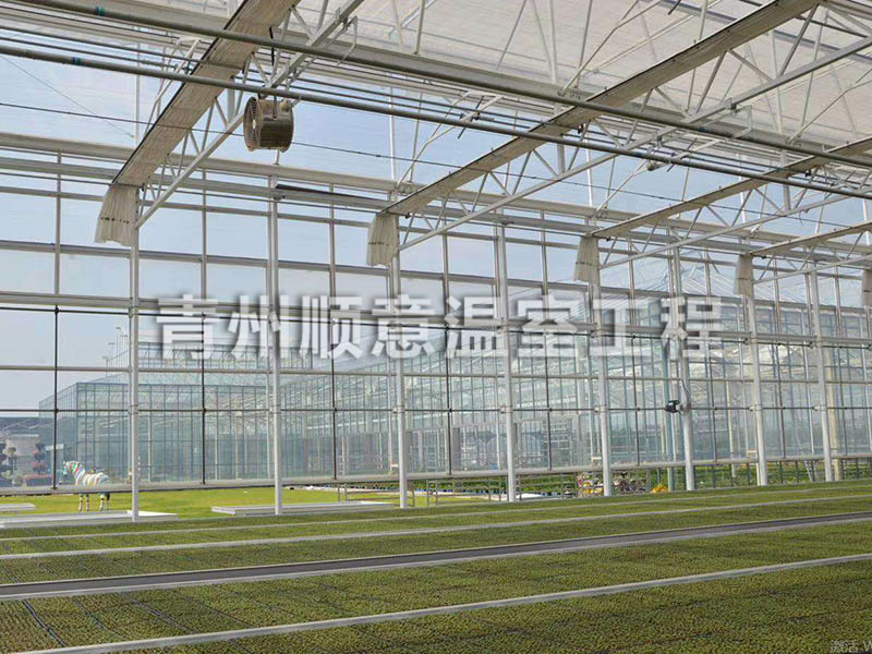 玻璃溫室大棚