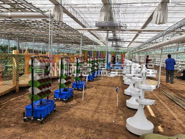 無土栽培（水培、基質栽培)