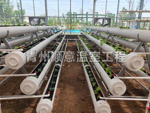 無土栽培（水培、基質栽培)