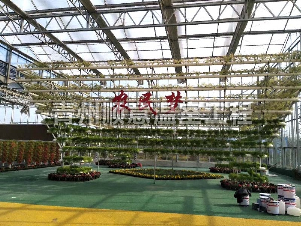 無土栽培（水培、基質栽培)