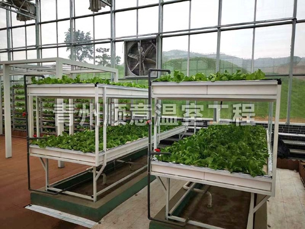 無土栽培（水培、基質栽培)