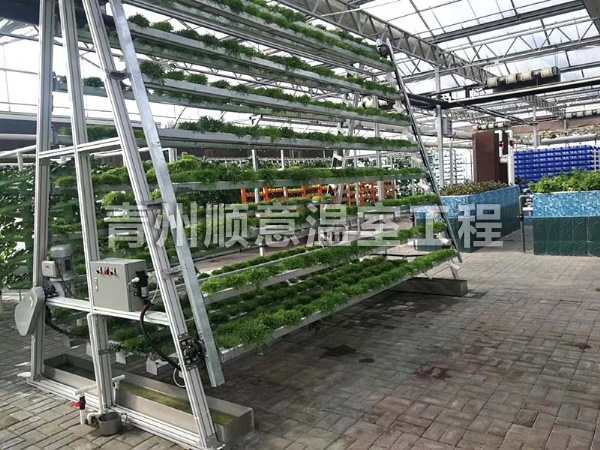 無土栽培（水培、基質栽培)