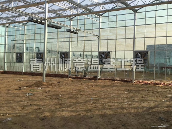 玻璃溫室大棚