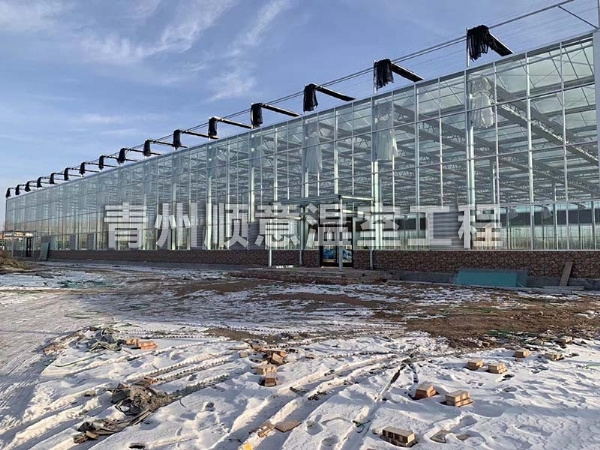 玻璃溫室大棚