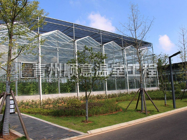 玻璃溫室大棚