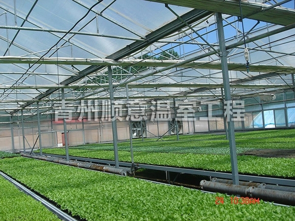 陽(yáng)光板溫室大棚的特點(diǎn)