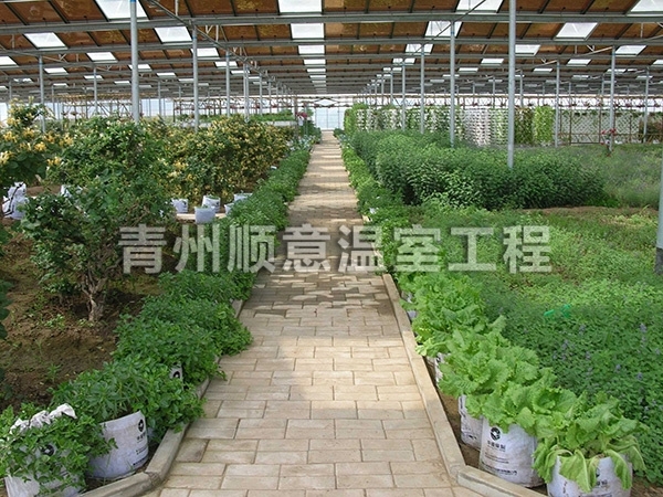 日光溫室大棚規(guī)模如何選擇？