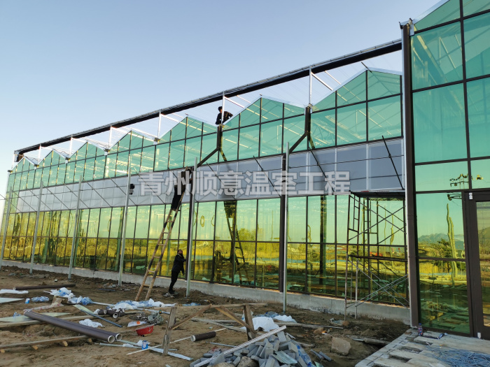 玻璃溫室大棚