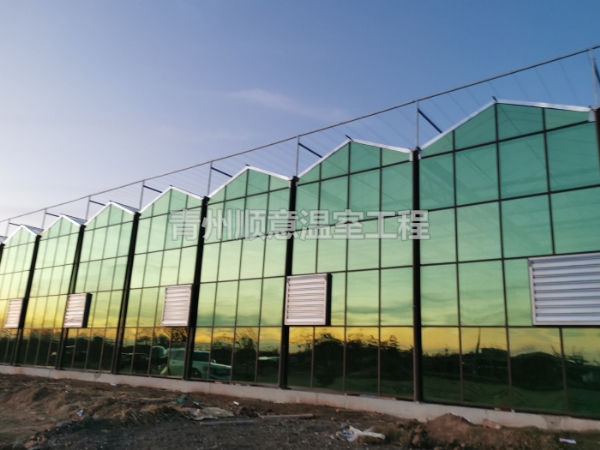 玻璃溫室大棚