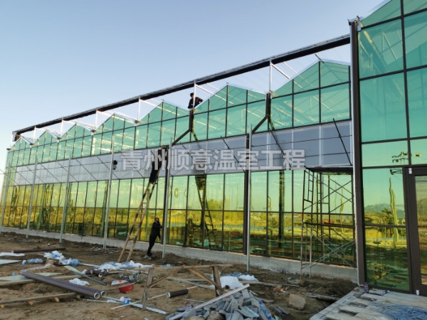 玻璃溫室大棚