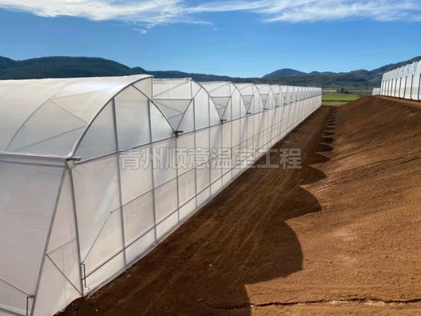 連棟薄膜溫室