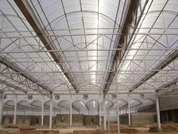 陜西大跨度連棟薄膜溫室