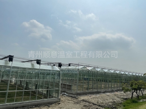 上海連棟玻璃溫室